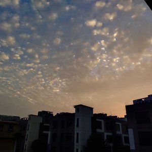 女生让男生看她的小笼包
