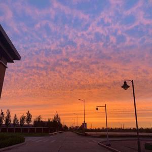 女生让男生看她的小笼包
