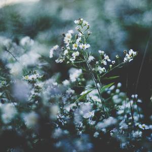 女生让男生看她的小笼包
